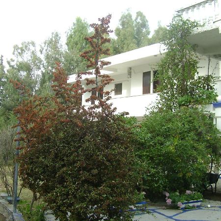 Villa Zoi Thronion Exterior foto