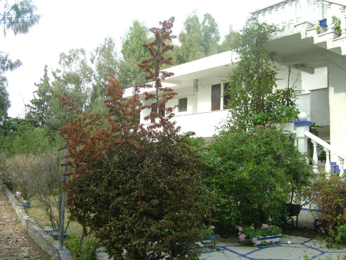 Villa Zoi Thronion Exterior foto